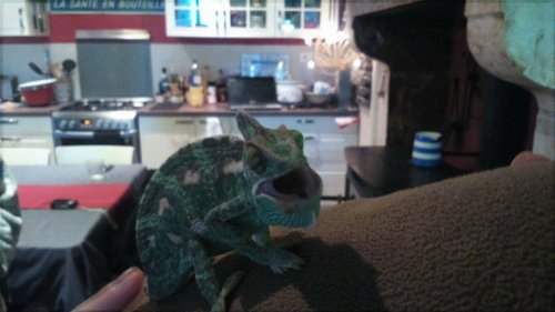 rango mouth open.jpg