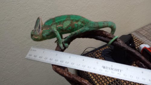 2014-12-30 18.43.30.jpg