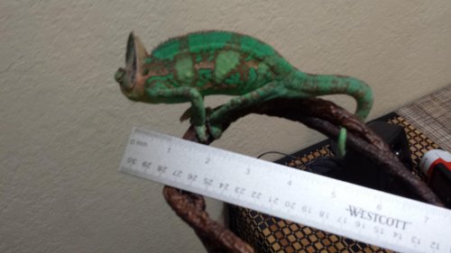 2014-12-30 18.43.15.jpg