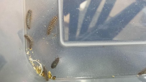 2015-01-06 18.03.24.jpg