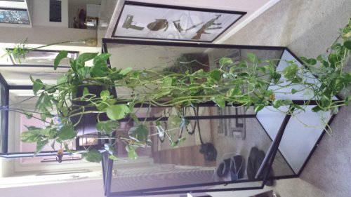 2015-01-07 14.25.42.jpg