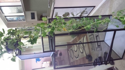 2015-01-07 14.37.09.jpg