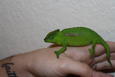 IMG_0005.JPG