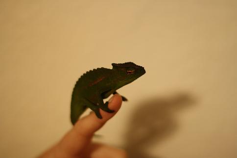 IMG_0008.JPG