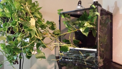 2015-01-08 21.37.48.jpg