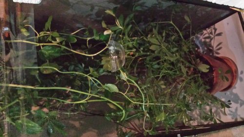 2015-01-08 21.37.37.jpg