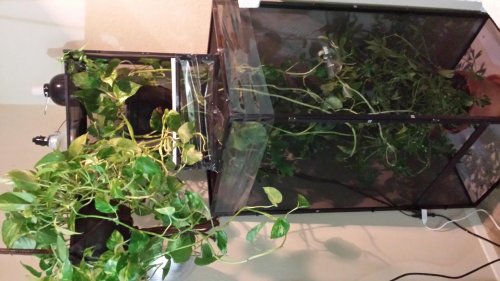 2015-01-08 21.37.27.jpg