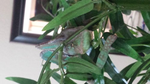 2015-01-08 20.44.49.jpg