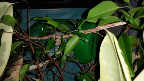 20141025_200703.jpg