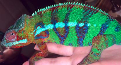 Screen Shot 2015-01-10 at 12.13.43 AM 1.jpg