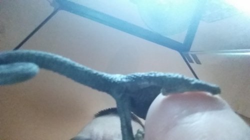 20150112_113048.jpg