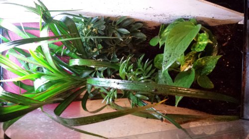 20150112_134714.jpg