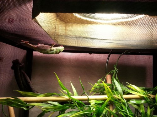 20150115_151408.jpg