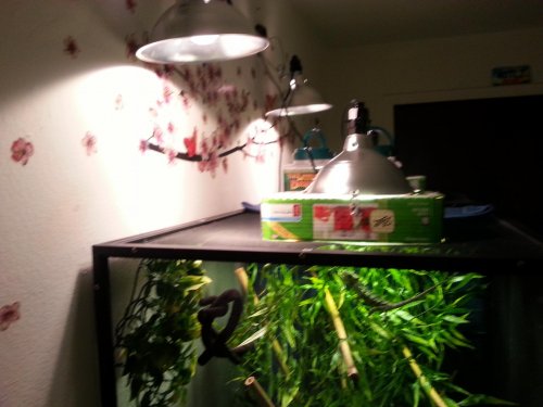 20150115_162943.jpg