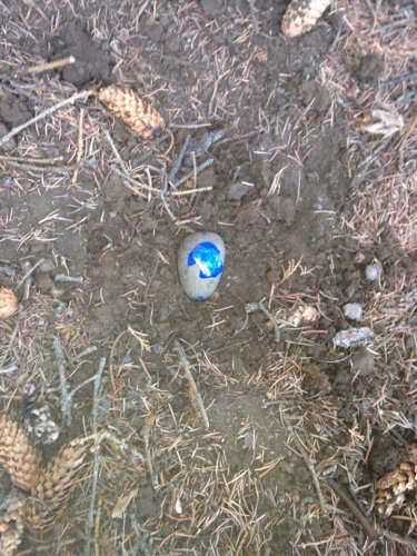 painted rock.jpg