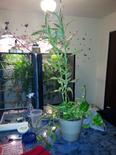 20150116_224750.jpg