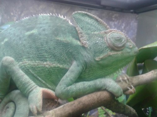 2015-01-18 14.04.38.jpg