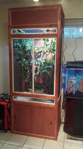 20150118_173424_1.jpg
