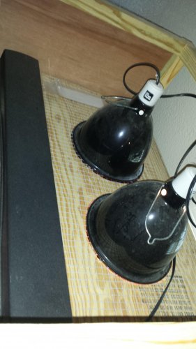 20150118_105007.jpg