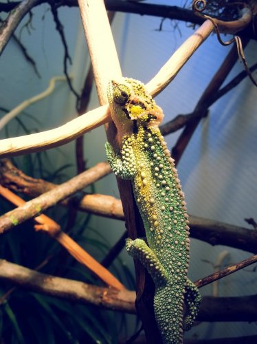 20150116_160731.jpg