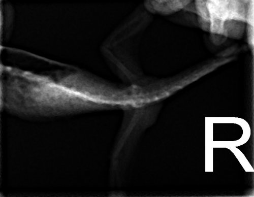 1.2.840.114257.1.999.351.1.2.20150120110222 (1).jpg