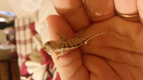 20150125_073430.jpg
