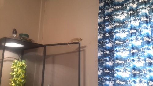 20150126_112807.jpg