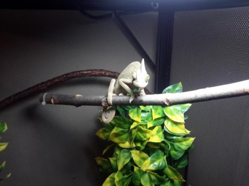 20150127_115415.jpg