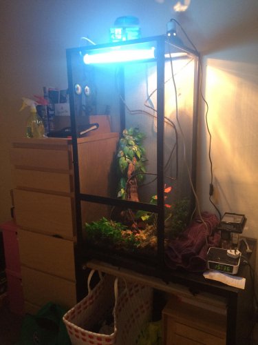 2015-01-28 15.36.20.jpg