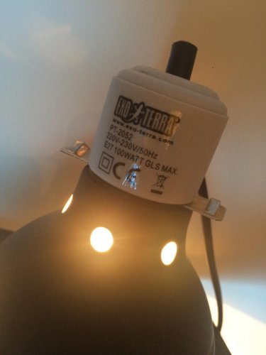 2015-01-28 15.36.52.jpg