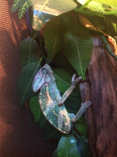 2015-01-28 15.37.23.jpg