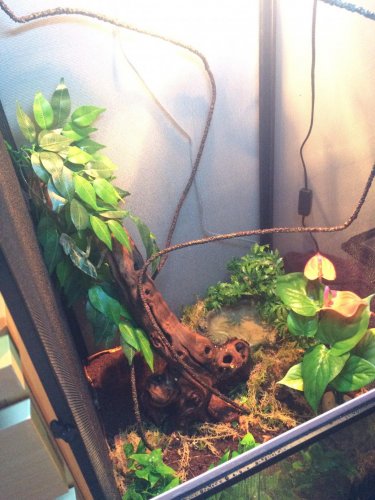 2015-01-28 15.37.47.jpg