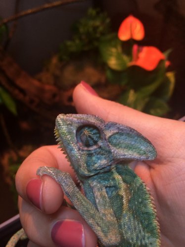 2015-01-28 15.41.30.jpg