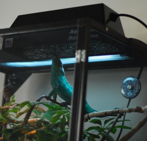 DSC_0210_crop.jpg
