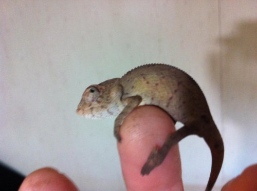 photo (10).jpg