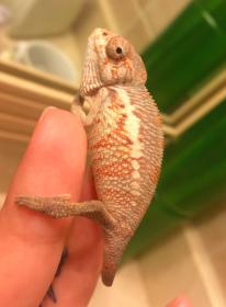 Screen Shot 2015-02-01 at 12.59.21 AM.jpg