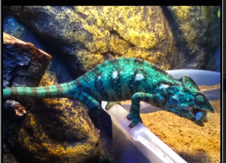 Capture d’écran 2015-02-01 à 13.38.54.jpg