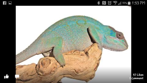 Screenshot_2015-01-31-13-53-25.jpg