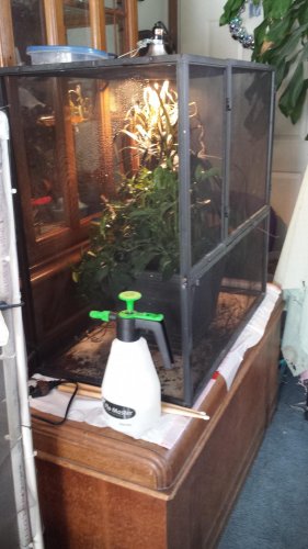 20150202_135559.jpg