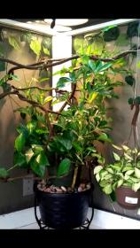 2015-02-09 11.10.51.jpg