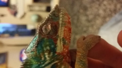 20150208_174919.jpg