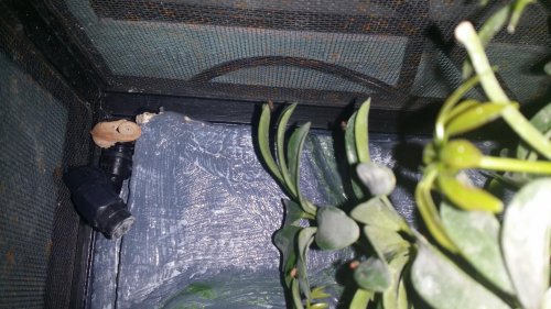 20150209_230351.jpg