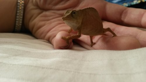 20150207_140627.jpg
