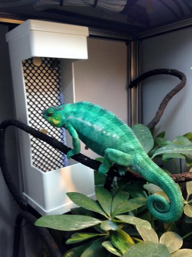 Luke pvc feeder 2015-02-11  .jpg