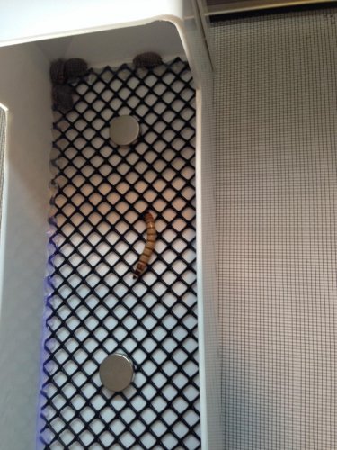 2015-02-11 12.10.51.jpg