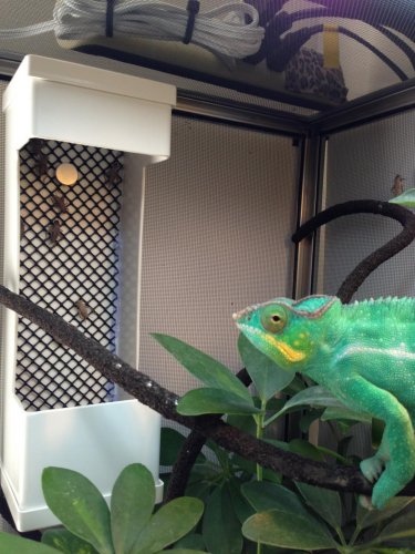 2015-02-11 12.43.06.jpg