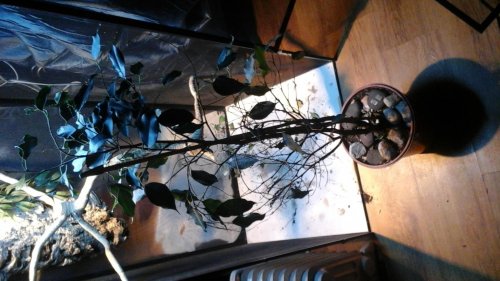 20150213_203046.jpg