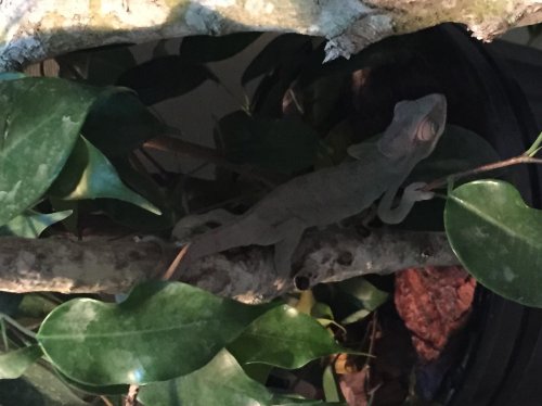 2015-02-15 105528-817884.jpg