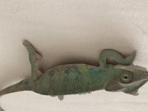 2015-02-15 105715-760007.jpg