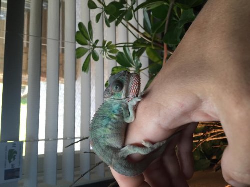 2015-02-15 105757-1826982.jpg